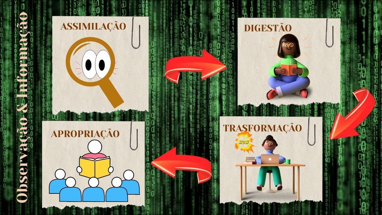 3 Passos para Eliminar Crenças Limitantes - Figura 17 - Observação e Informação: como absorvemos a informação do meio externo.